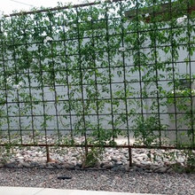 fence