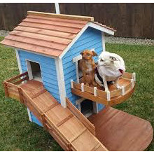 Dog Bedroom