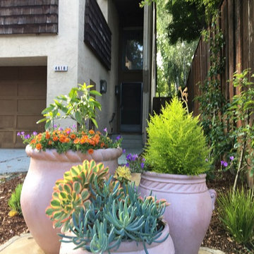 Maximum Utilization for a Townhouse Yard