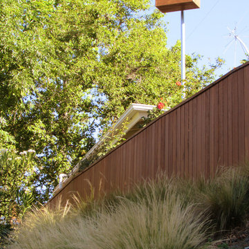 Hilltop Modern