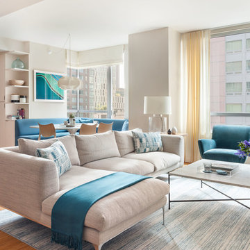 Battery Park City Apartment