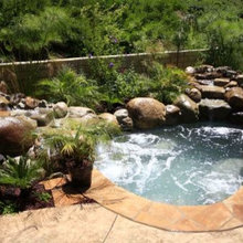 back yard