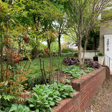City Pleasure Garden