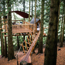 Tree House