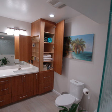 El Cajon - Spa-Styled Bathroom Remodel
