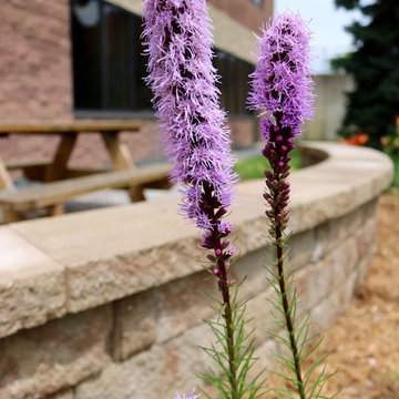 Softscape (Flowers, Flower beds and more)