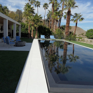 Desert Modern