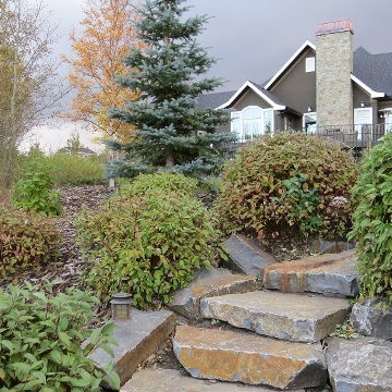 Natural Rock Steps