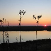 Foto von Lori Roueche
