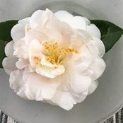Terry Talamo's photo