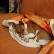 Mino Martino's photo