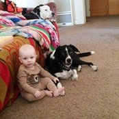 Foto von Dawn Crowl