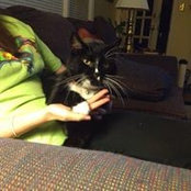 Patrick Welch's photo