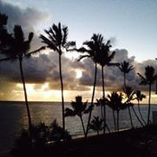 Rob Guedel's photo