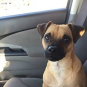 Lisa Micol's photo