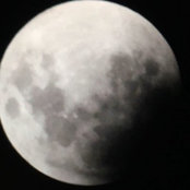 Lara Wilson's photo