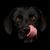 Pavel Spirin's photo