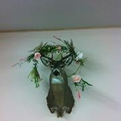 Cheryl Brannaka's photo