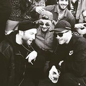 Francis Gooddy's photo