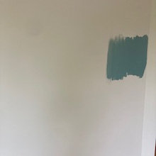 Paint Choices