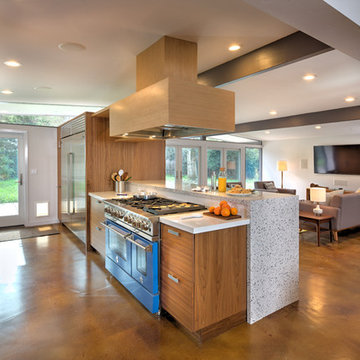Central Davis Streng Remodel