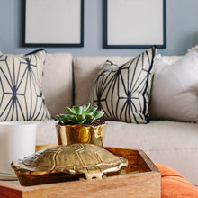 Living Room Ideas