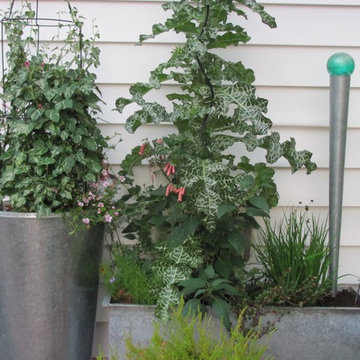 Summer planters