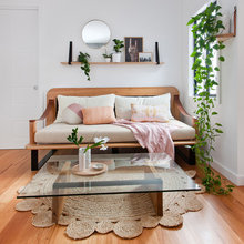 Indoor Plants