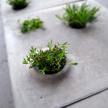 Grey to Green