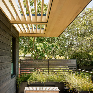 サンフランシスコのモダンスタイルのおしゃれなデッキ (コンテナガーデン) の写真