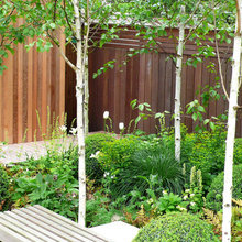 Landscape Ideas