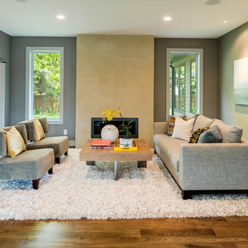 Edina Contemporary Remodel