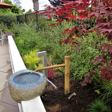 Vertical Garden Designs - La Jolla