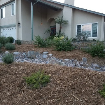 Rain Gardens