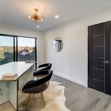 Hollywood Hills Remodel