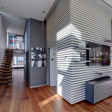 Living Room / Entrance