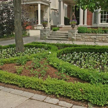 Traditional Frontyard