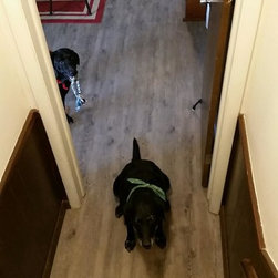 Pet Friendly Flooring - Vinyl Flooring