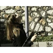 Sema OzIer's photo