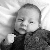 Todd Wilson's photo