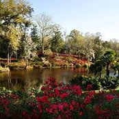 C. Shane McMahan's photo