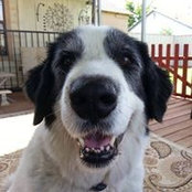 Judy Howard's photo
