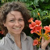 Foto de Iryna Demkovych
