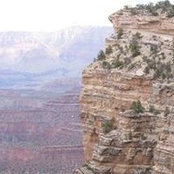 Kathy Shank's photo