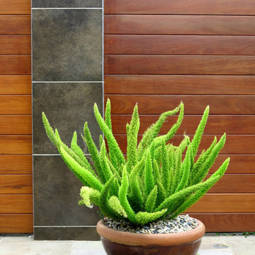 Montgomery entry garden