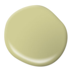 Wasabi M340-4 - Paint