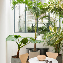 Jungle