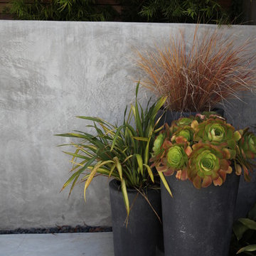 City Oasis