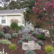 front yard #1