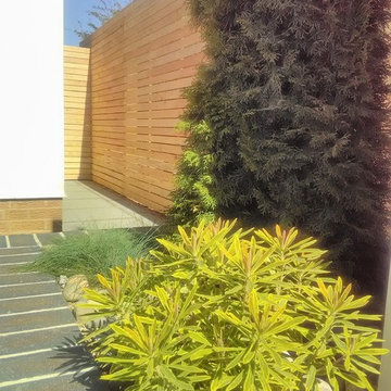 A Modern Courtyard